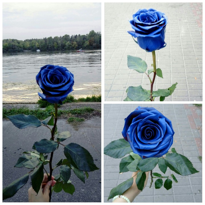 lovely dark blue..^_^