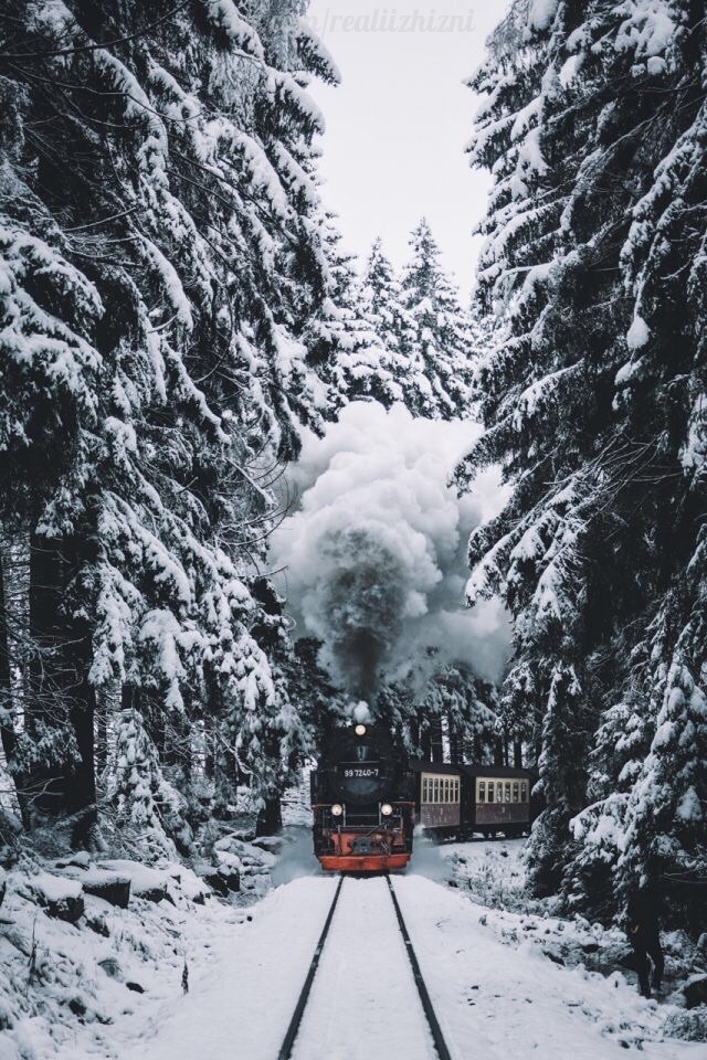 зима ❄ ❤️
