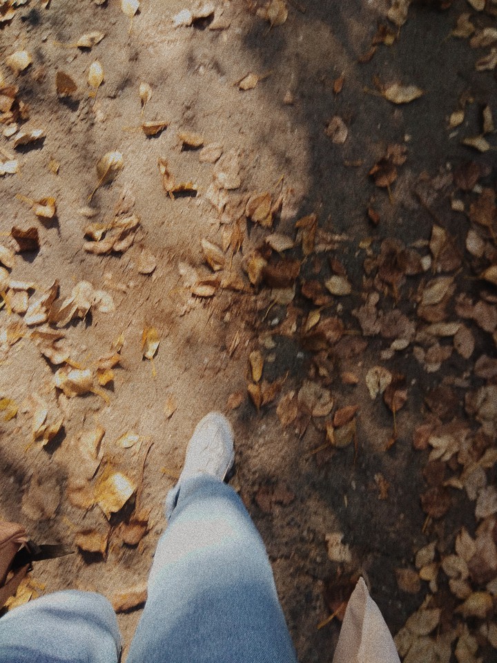 autumn