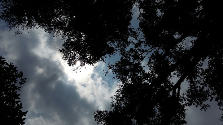 sky