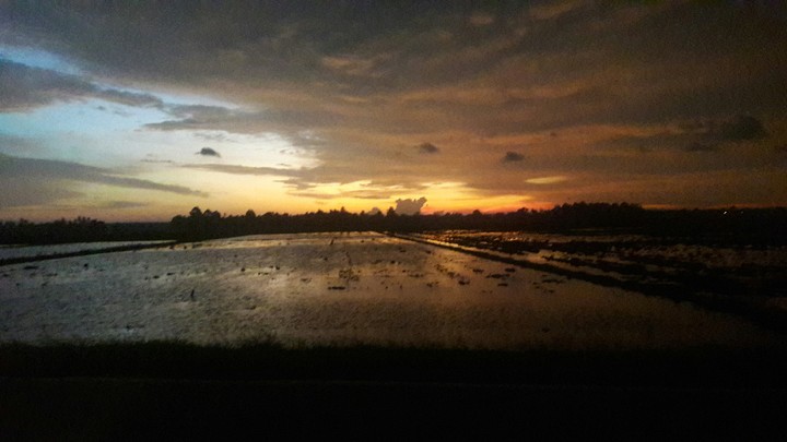 sunset