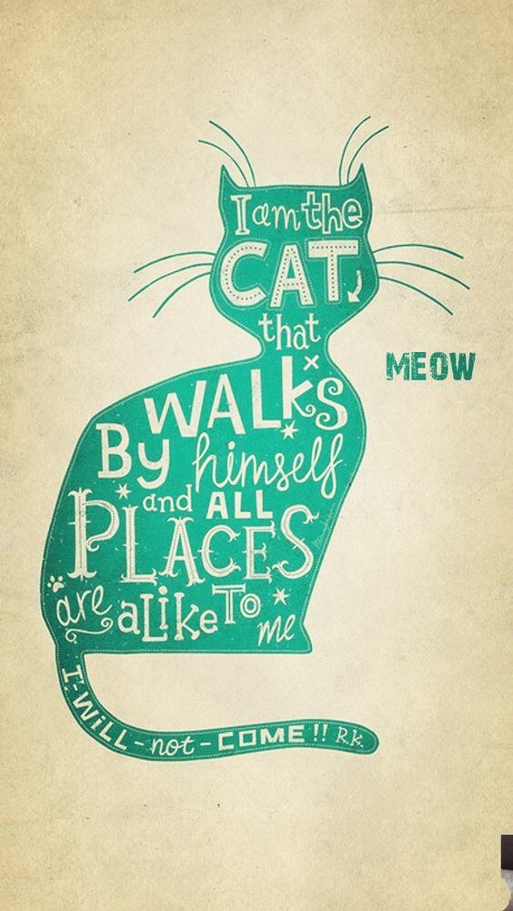 cats life