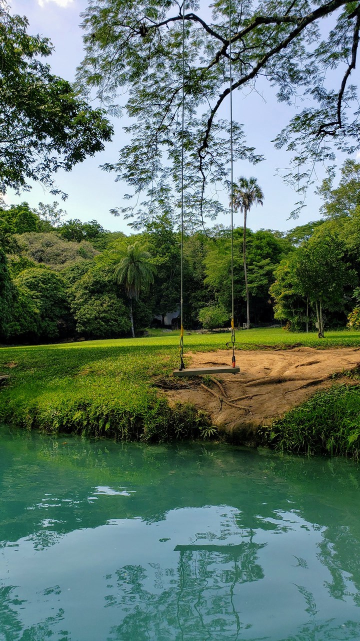 Naturaleza