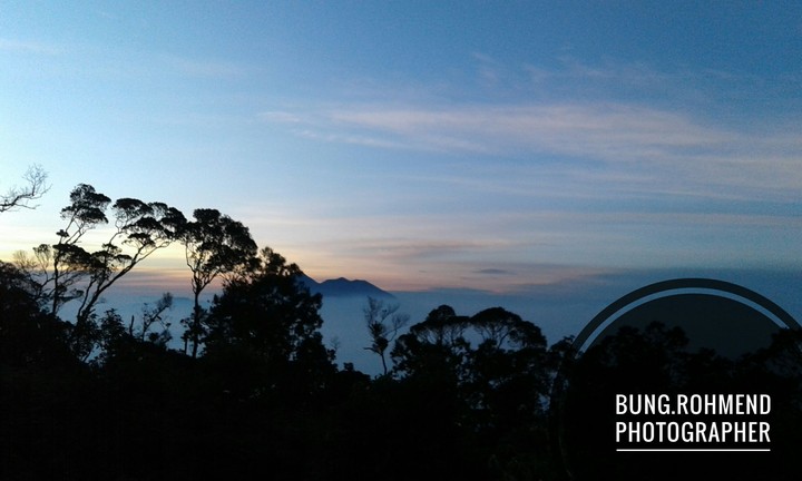 mountain salak