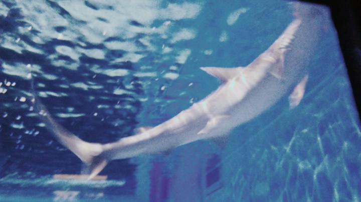 AquaRii