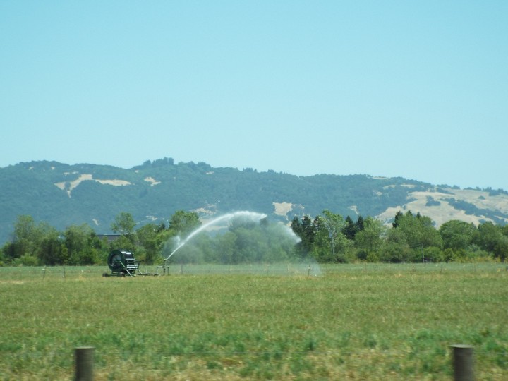 watering