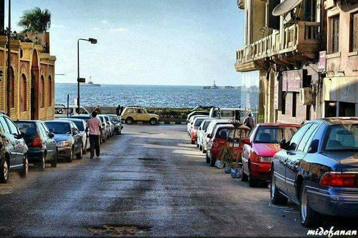 alex street