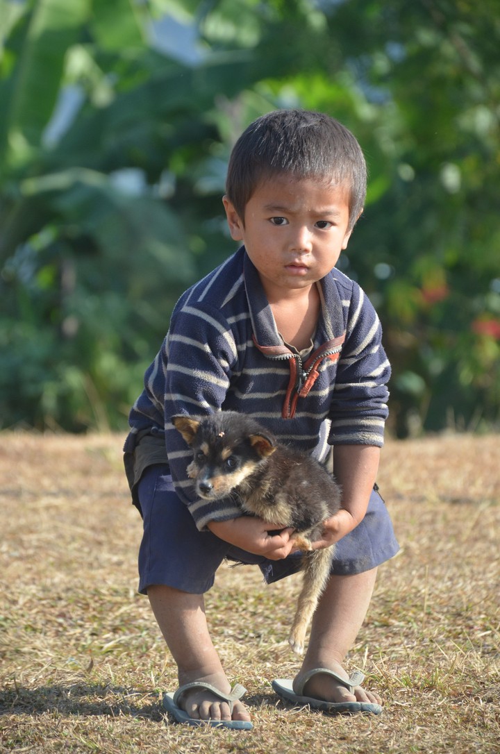 Playing with Dog