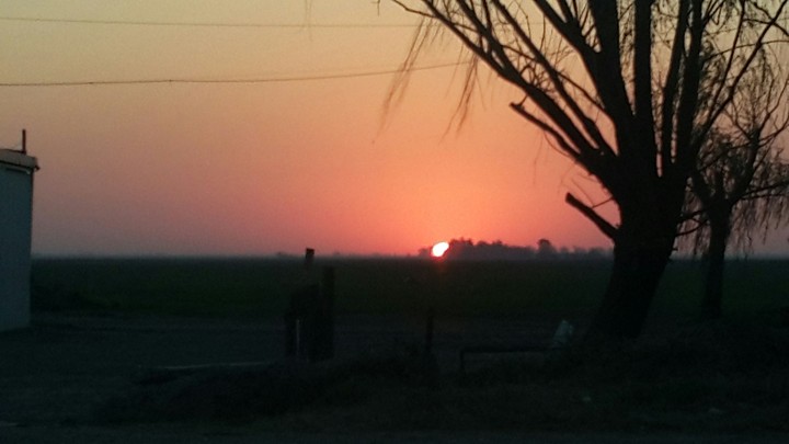 sol