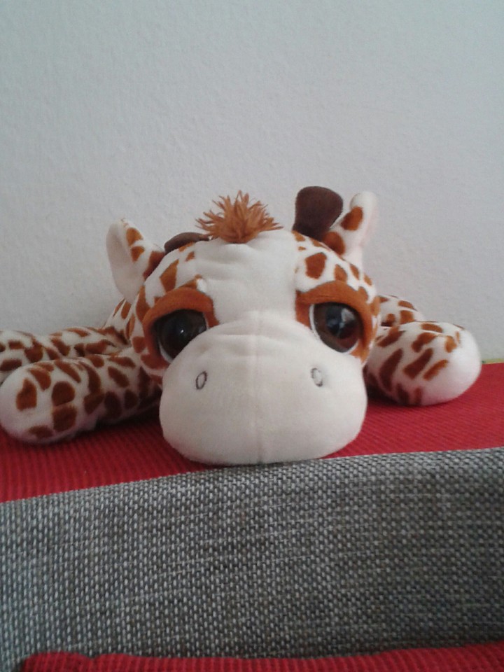 giraffe