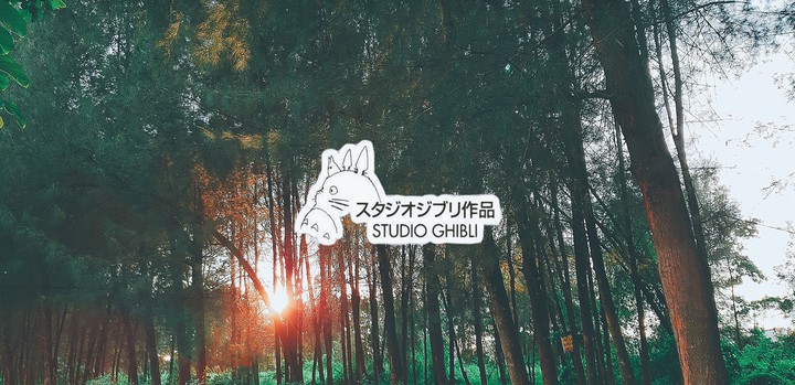 album my neighbor totoro
