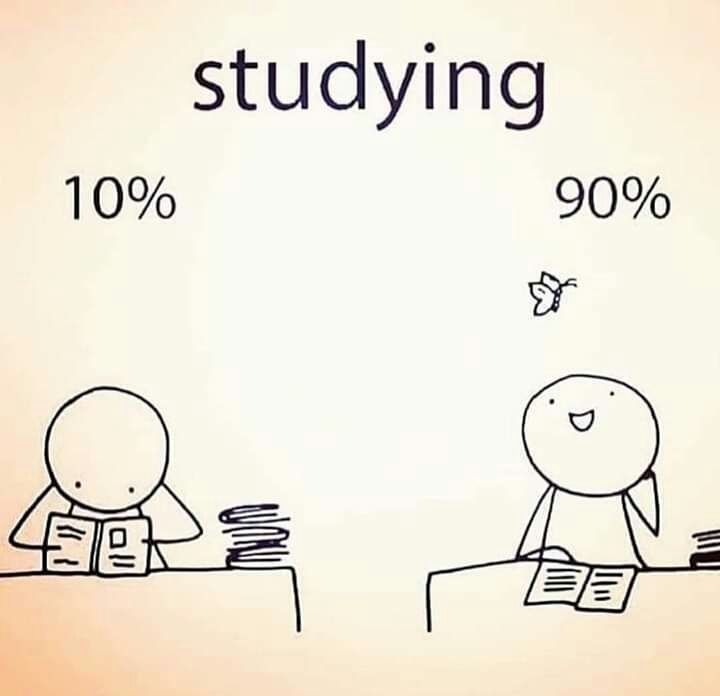 fact