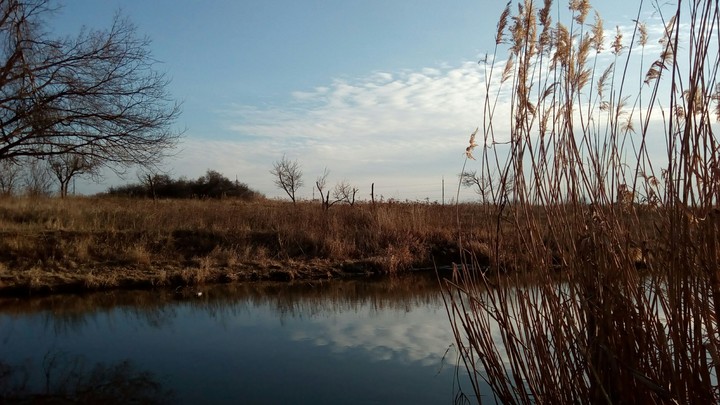Україна, Донецька обл., м. Сіверськ