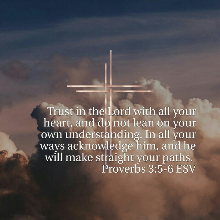 Proverbs 3:5-6