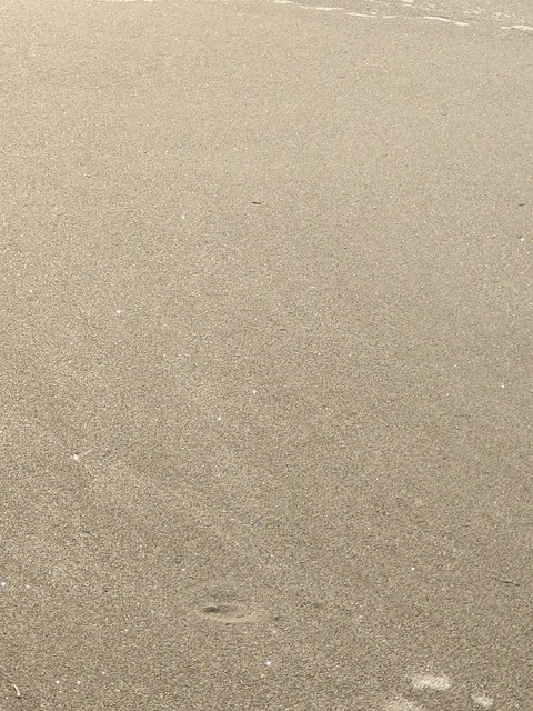 virgin beach