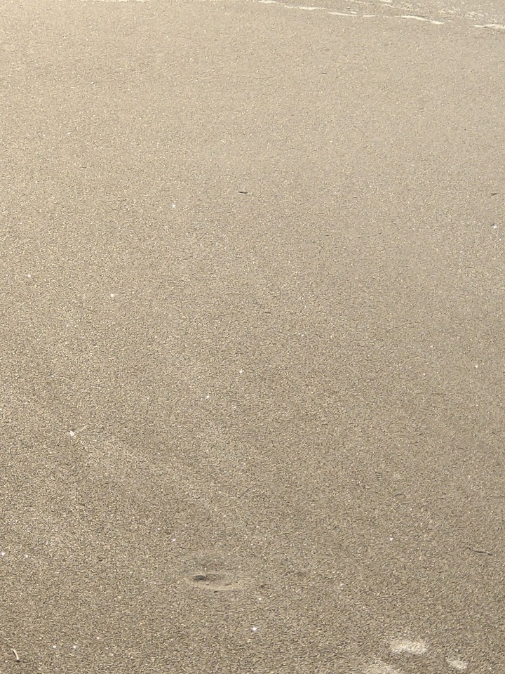 virgin beach