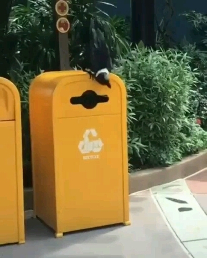 cleaning