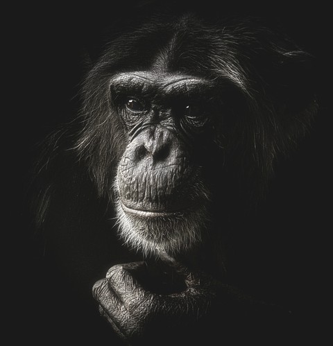 Observing