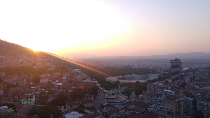 Bursa