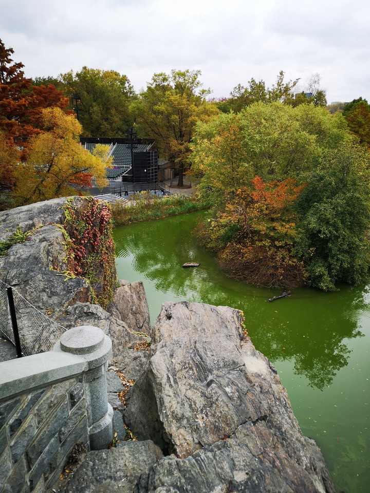 Central park