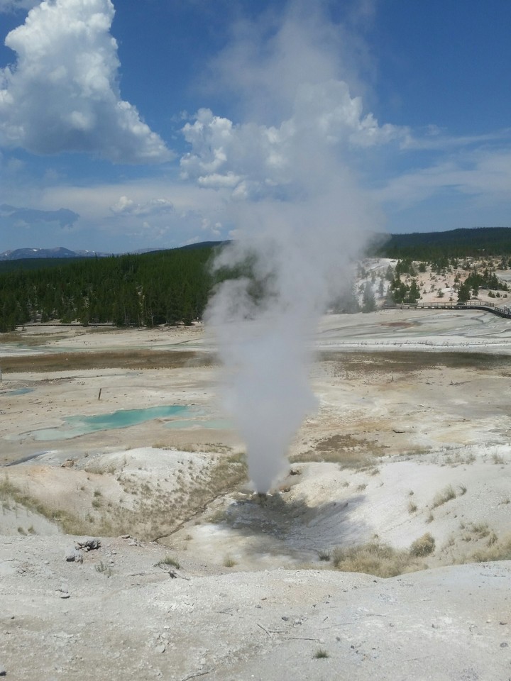 Hot Springs from Yellowstone!