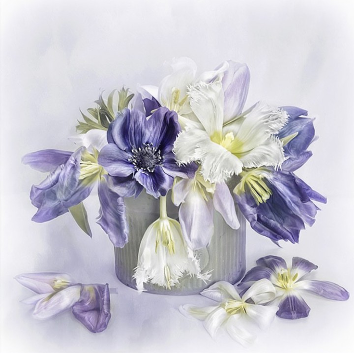 bouquet