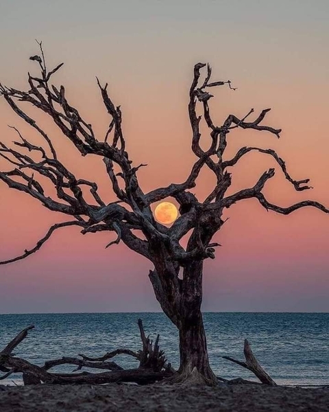 Paisaje Lunar