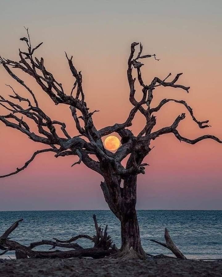 Paisaje Lunar