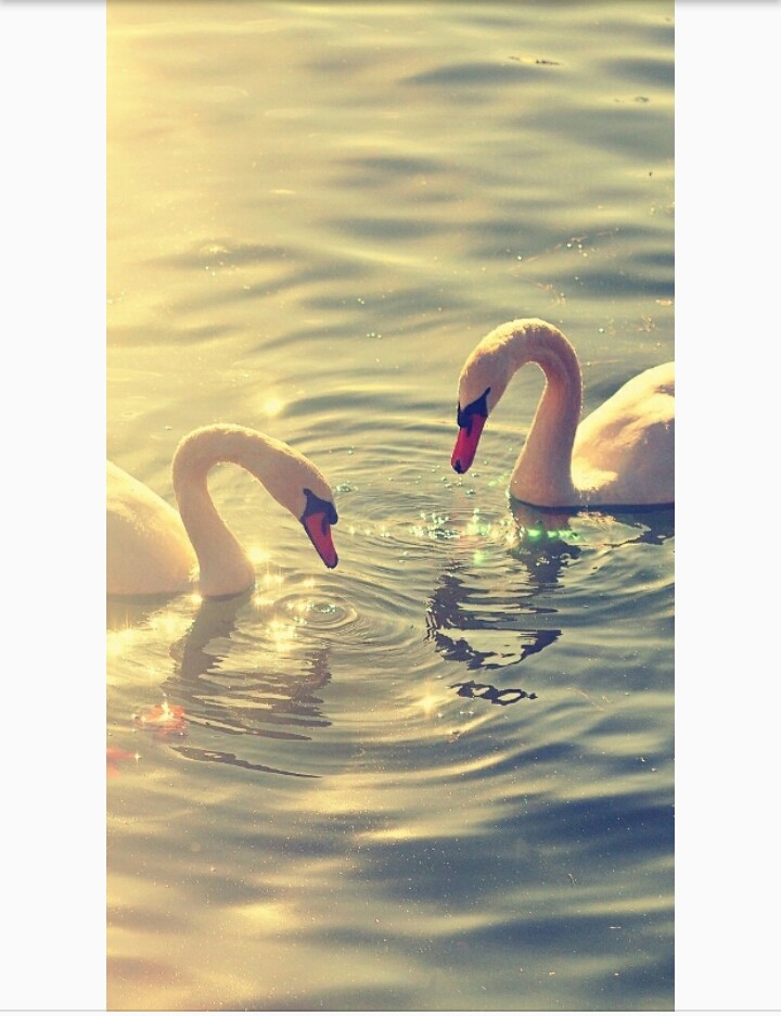 it's a beutiful