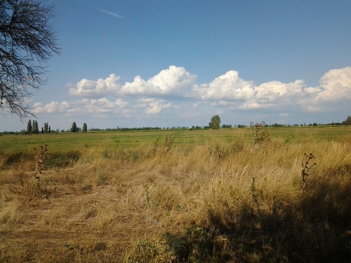 Ukrainian