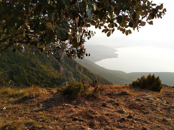 Macedonia