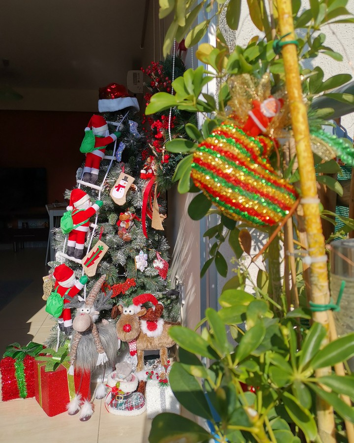 Merry Christmas