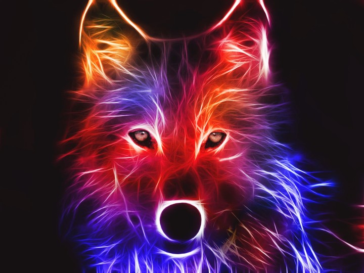 3d fox