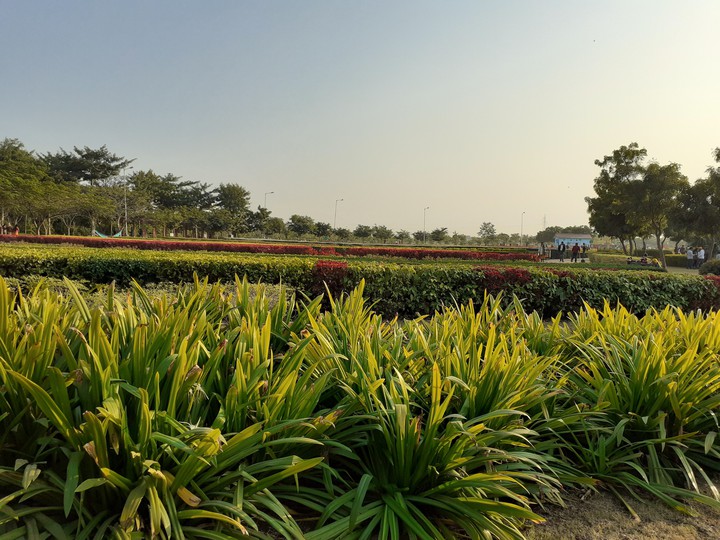 Greenery