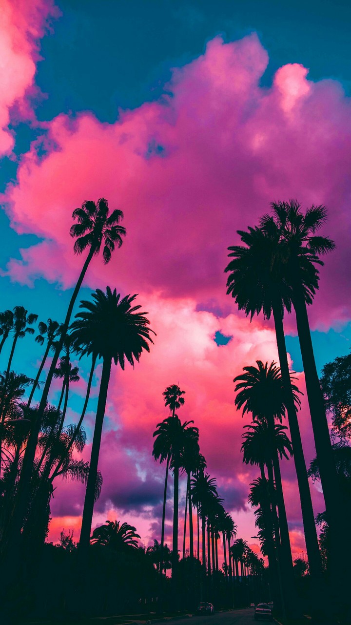 scenery