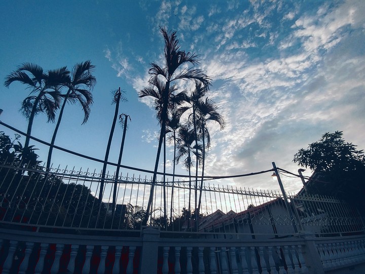 Afternoon