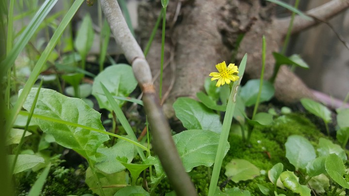A tiny world