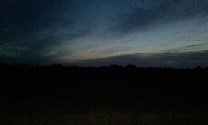 Night