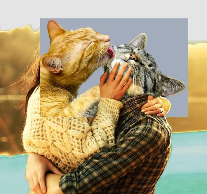 "Purrromance" @selftasy