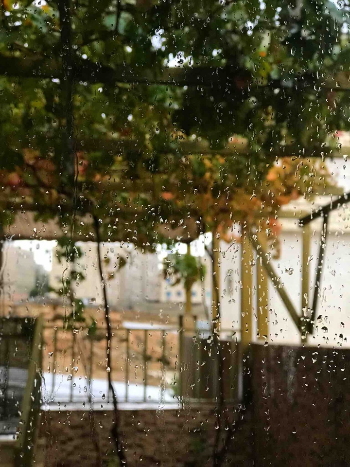 rain ? ☔️