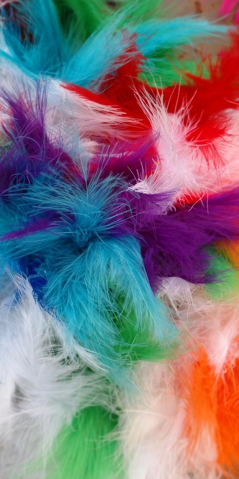 mixture of colours