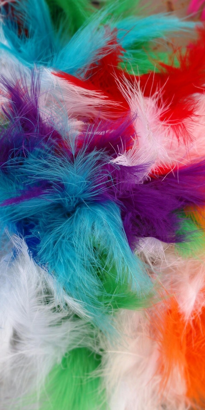 mixture of colours