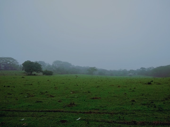 calmado