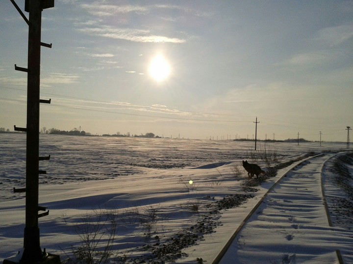 Winter in Serbia