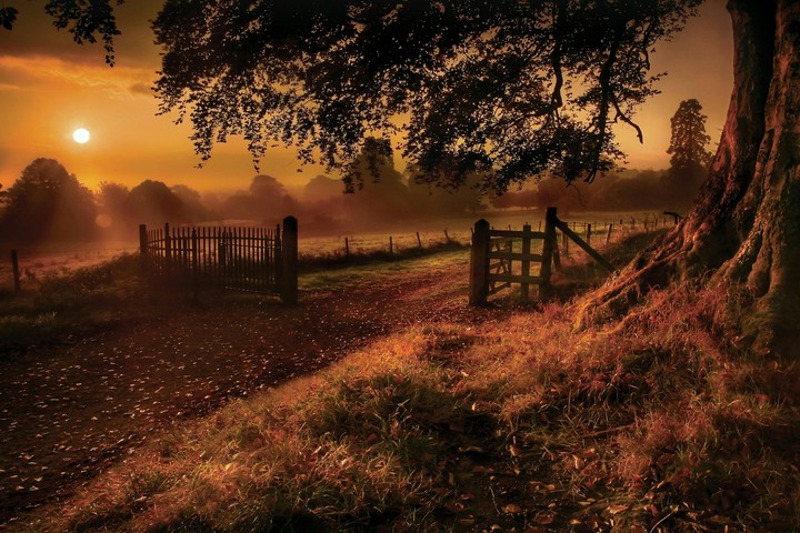 sunset