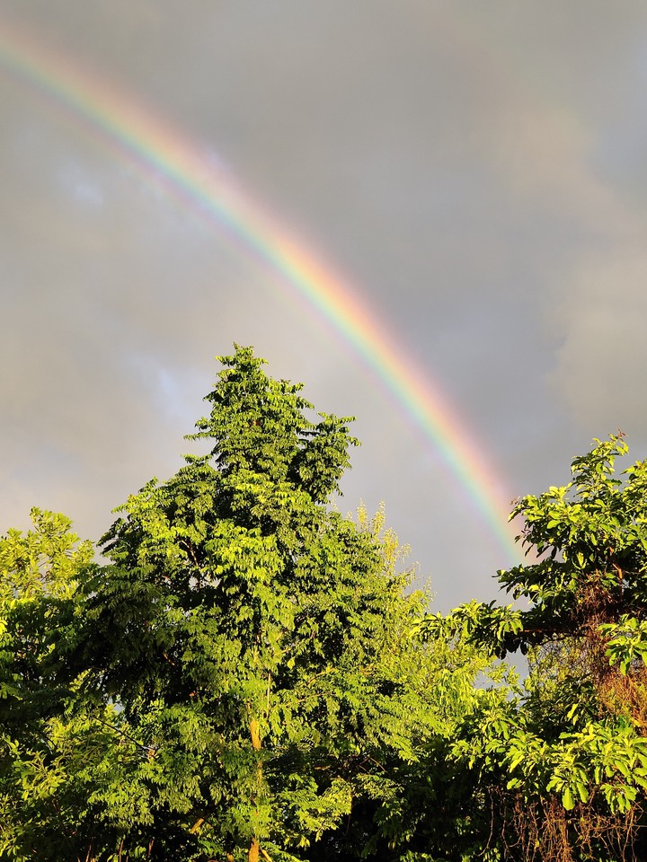 rainbow