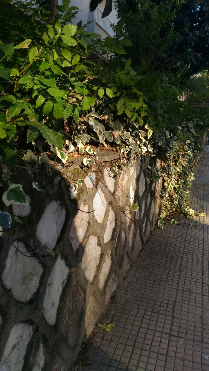 shadows and a little bit sun light