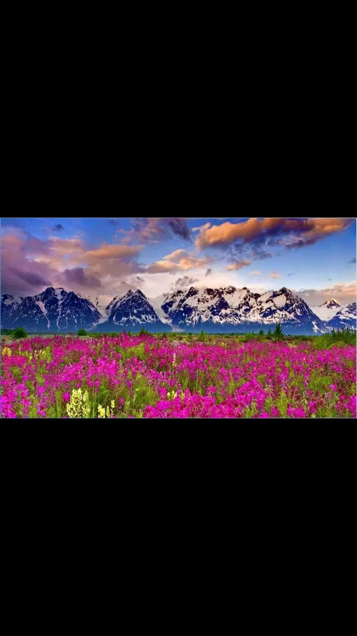 colours