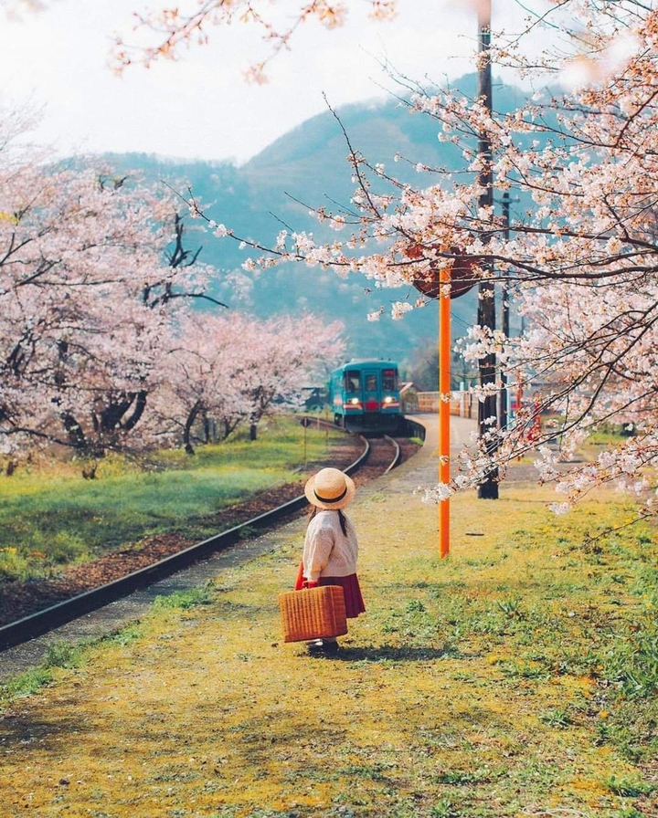 Waiting for life