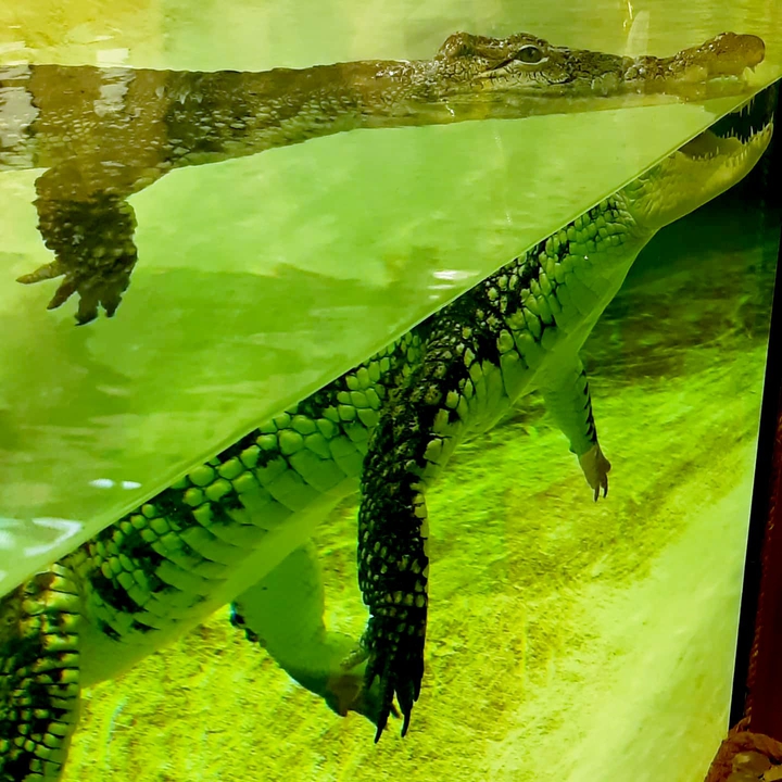 ZOO